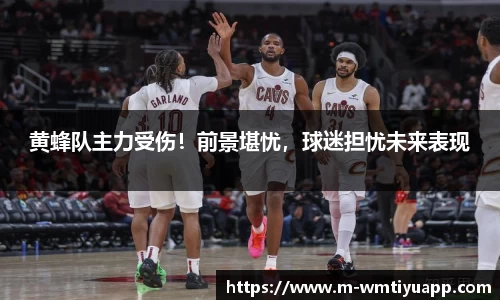 黄蜂队主力受伤！前景堪忧，球迷担忧未来表现